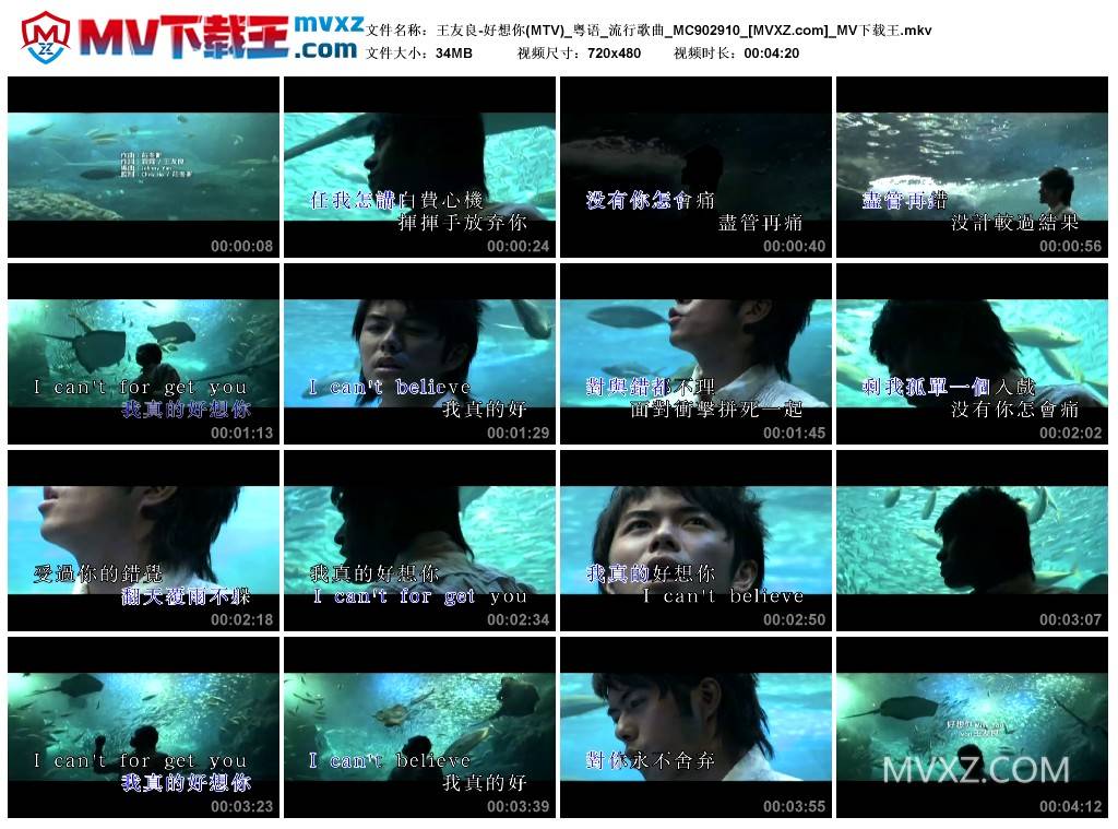 王友良-好想你(MTV)_粤语_流行歌曲_MC902910